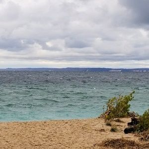 Meet your Posher, Terry